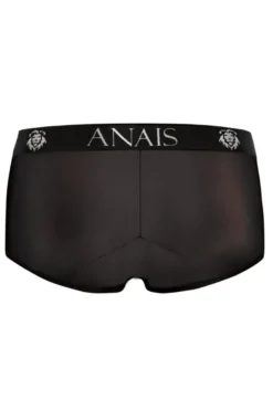 Anais - Petrol Brief