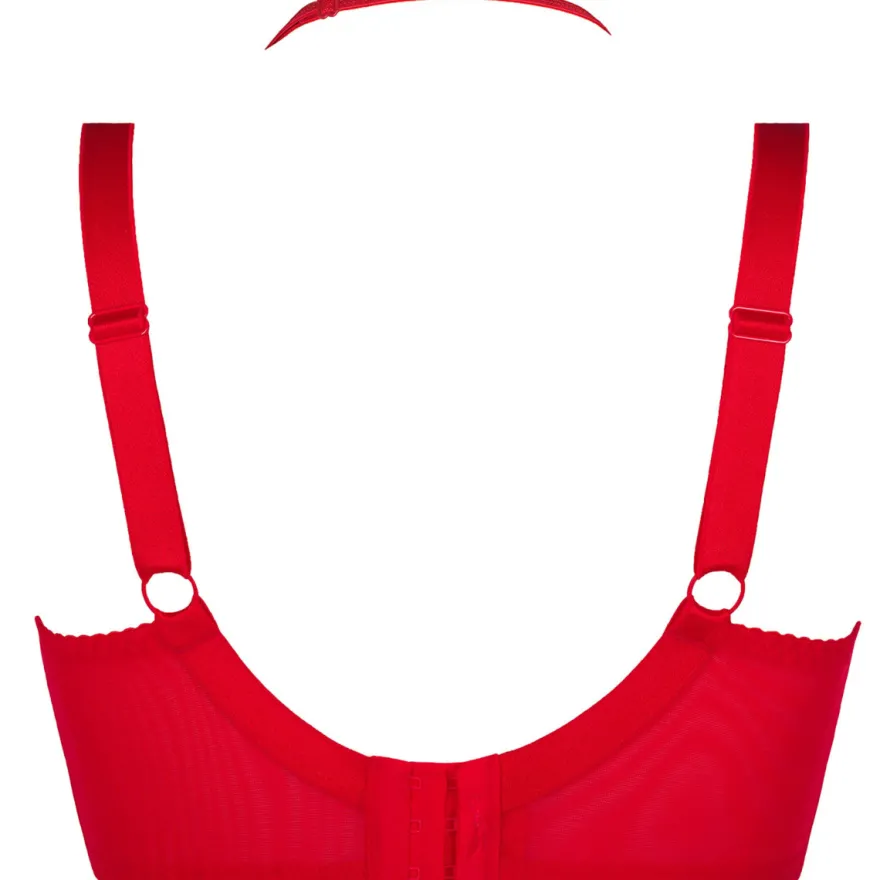 Axami - Plus Size BH