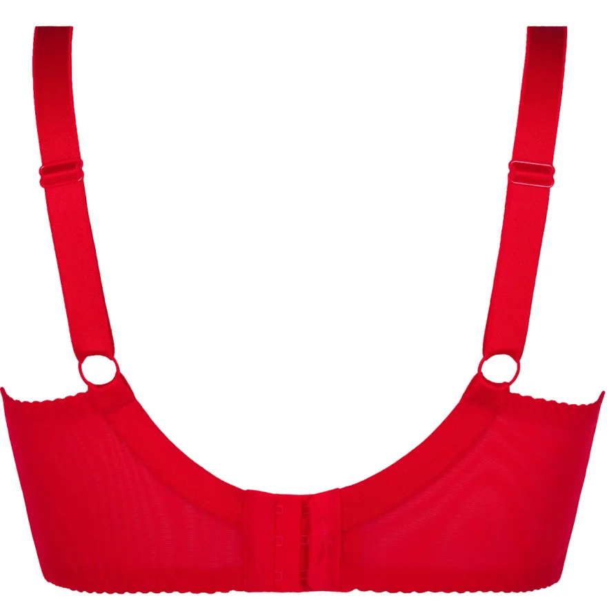 Axami - Plus Size BH