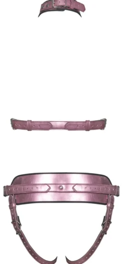 Bad Kitty - Strap On Harness Set