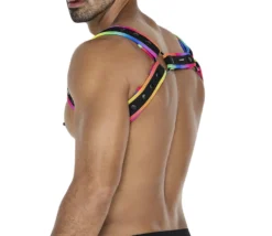 Cut4Men - Vario Harness Pride