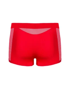 Obsessive - Elegante Herren-Panty