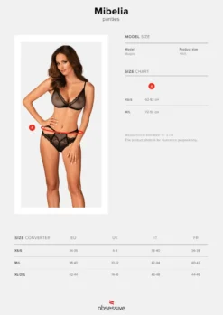 Obsessive - Panty aus Netz-Material