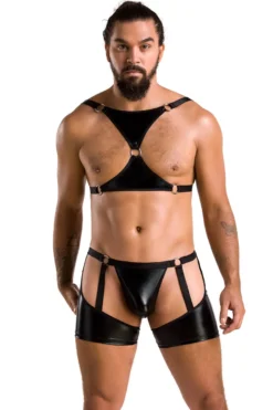 Passion - Wetlook Harness Outfit
