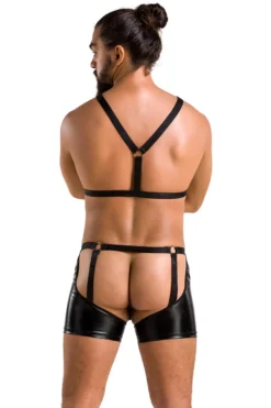 Passion - Wetlook Harness Outfit