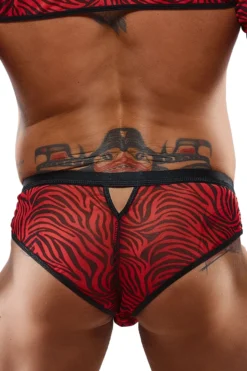 Regnes-Fashion-Planet - Netz Slip im Zebramuster