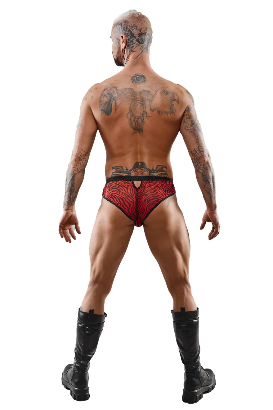 Regnes-Fashion-Planet - Netz Slip im Zebramuster