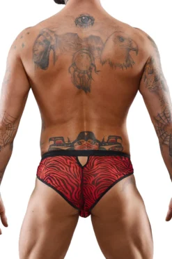 Regnes Fetish Planet - Herren Ouvert Slip im Zebra-Look
