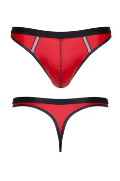 Regnes Fetish Planet - Wetlook String BRI015 rot