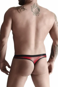 Regnes Fetish Planet - Wetlook String BRI015 rot