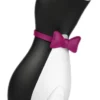 SATISFYER Pro Penguin Next Generation