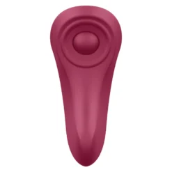 Satisfyer - Sexy Secret Panty Vibrator wine red