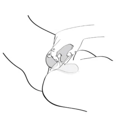 Shunga - Intimate Massager