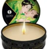 Shunga - Massage Kerze - Grüner Tee , ALS SET, 6 X 30 ML