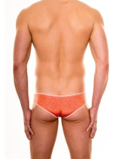 Spitzenjunge - Brief Ryan rot