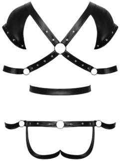 Svenjoyment - Bondage Body