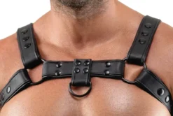 Svenjoyment - Harness aus Kunstleder