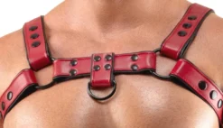 Svenjoyment - Harness aus Kunstleder rot