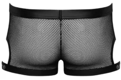 Svenjoyment - Herren Pants aus Netzmaterial