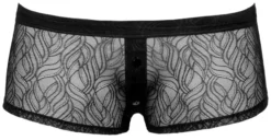 Svenjoyment - Herren Pants aus Spitze