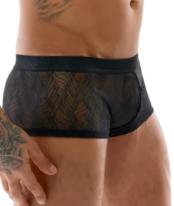 Svenjoyment - Herren Pants aus Spitze