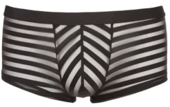 Svenjoyment - Herren Pants mit transparenten Streifen