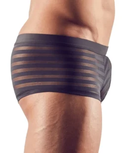 Svenjoyment - Herren Pants mit transparenten Streifen