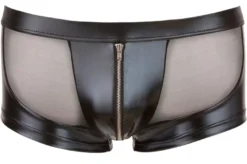 Svenjoyment - Powernet Pants mit Wetlook & Reißverschluss