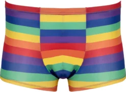Svenjoyment - Regenbogen Pants