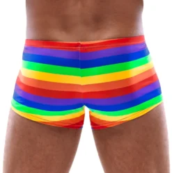 Svenjoyment - Regenbogen Pants
