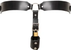 Zado - String Cage